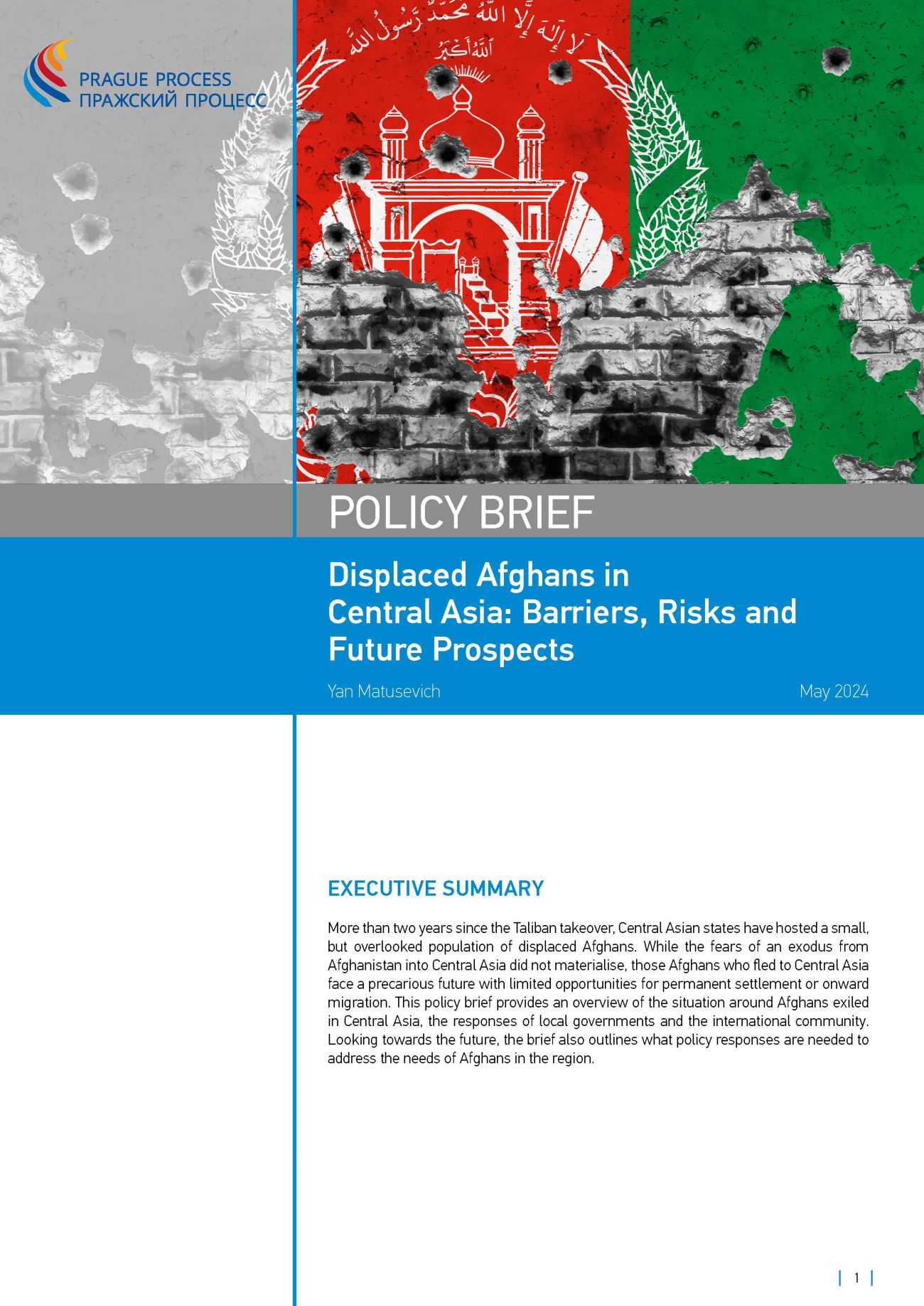 2024-05-02_Policy_Brief_EN_web_Page_1.jpg